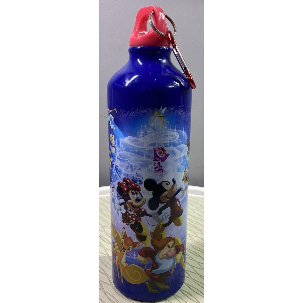 Walt Disney Mickey Mouse,Minnie,Goofy,Winnie,Eeyore Aluminum Water‎ Bottle 24oz.